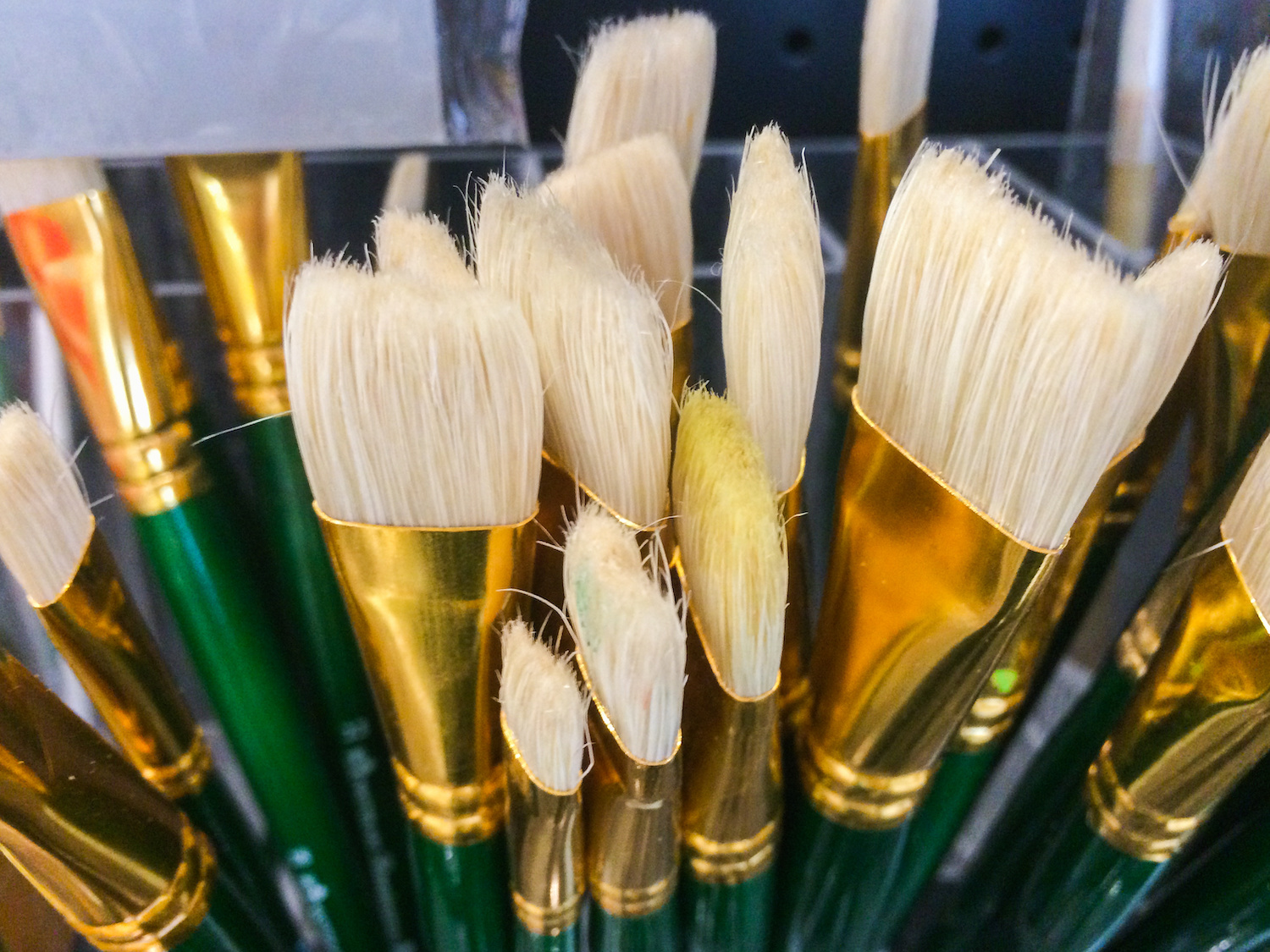 Bristle paint brushes
