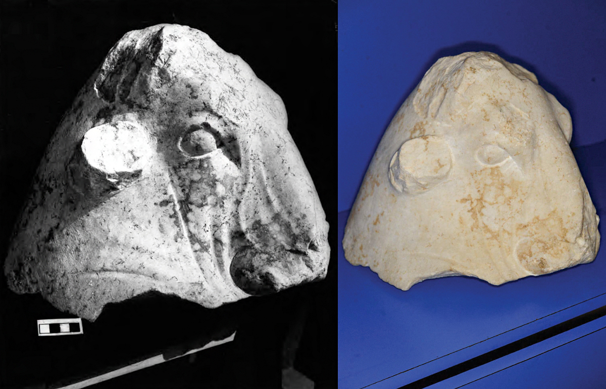 A black-and-white and color image, both of a fragmented bull's head in marble.