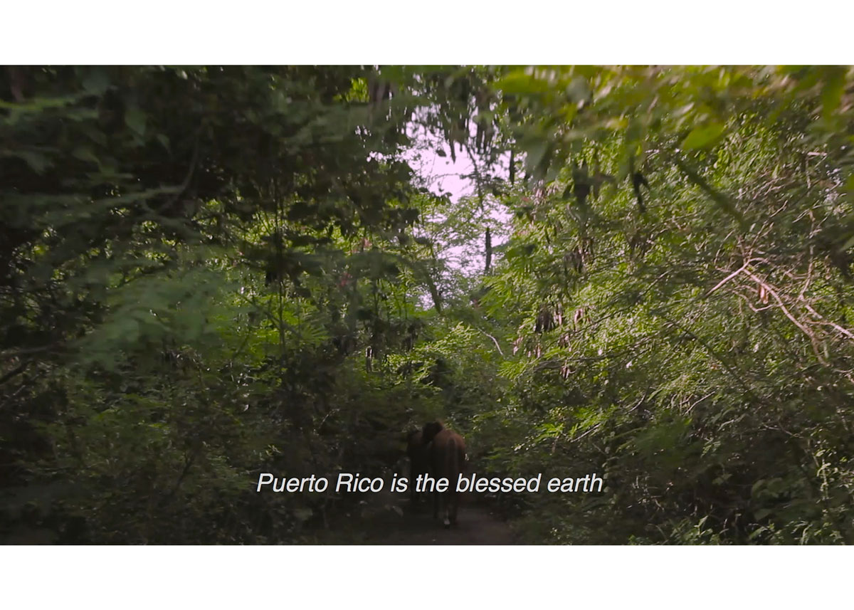 Film still showing a person walking in a lush green forest with a caption translates into English 'Puerto Rico is the blessed earth.'